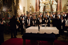 vanocni-koncert-2014-00023